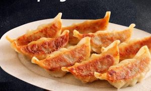 Fried chicken Dumplings